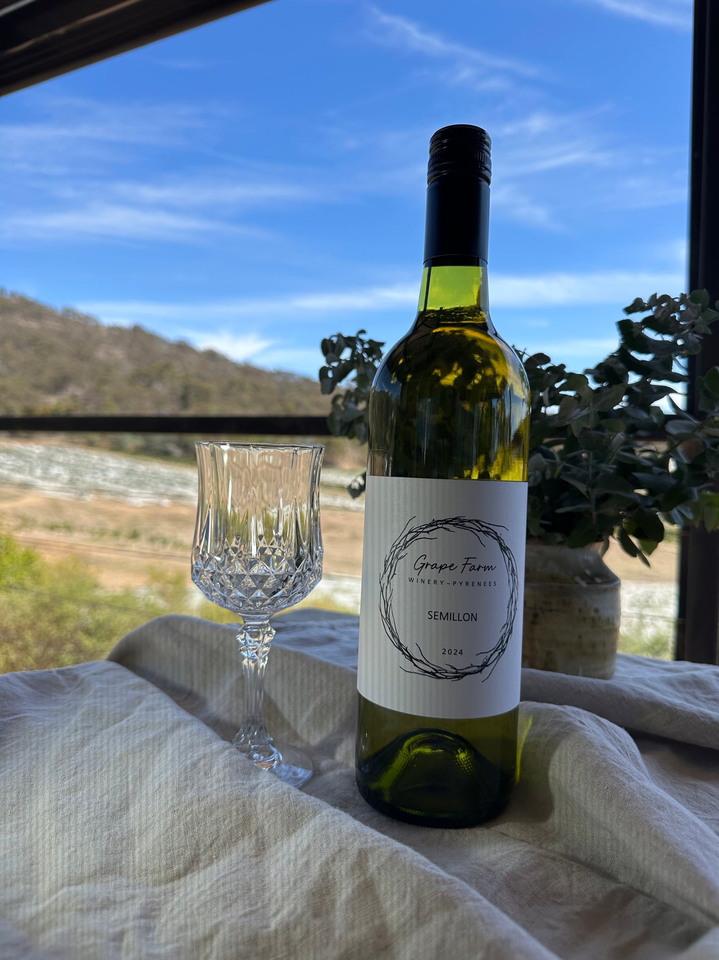 Semillon 2024